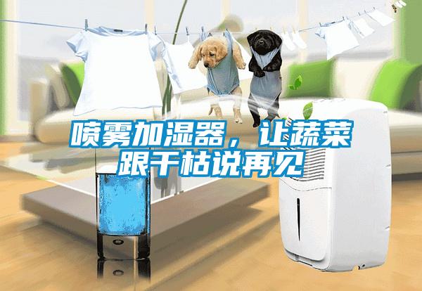 噴霧加濕器，讓蔬菜跟干枯說再見
