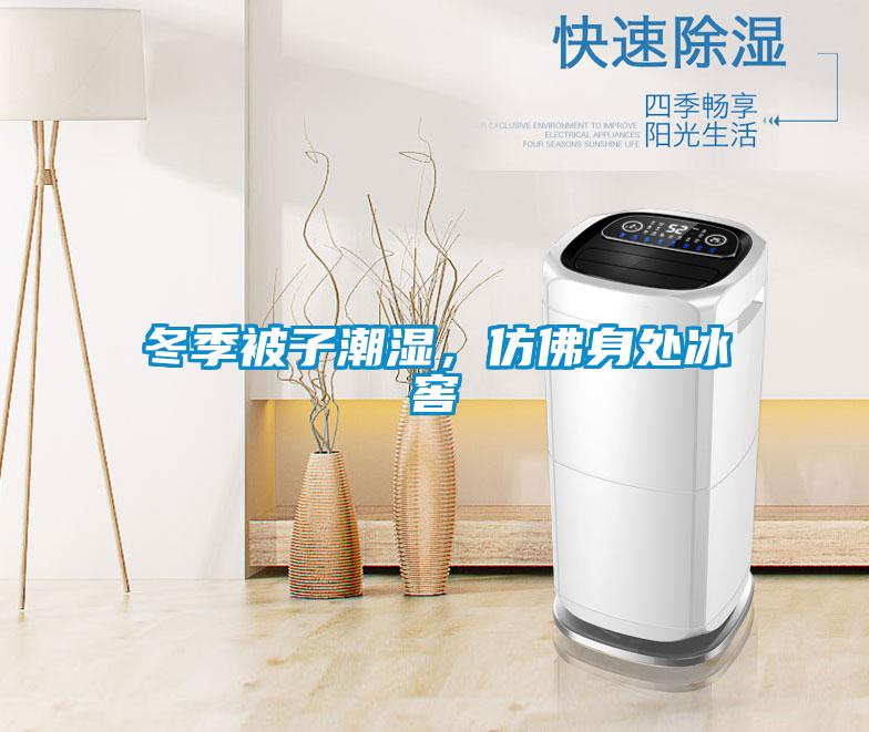 冬季被子潮濕，仿佛身處冰窖