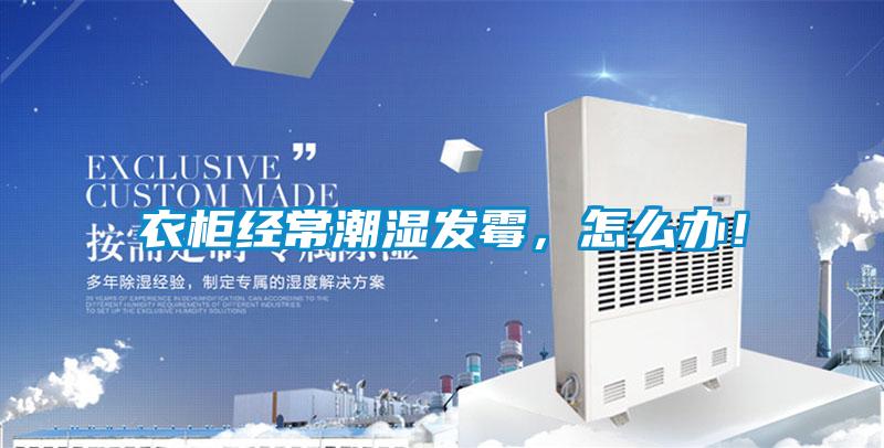 衣柜經常潮濕發霉，怎么辦！
