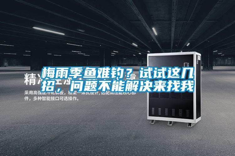 梅雨季魚難釣？試試這幾招，問題不能解決來找我