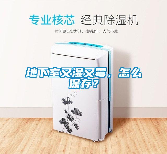 地下室又濕又霉，怎么保存？
