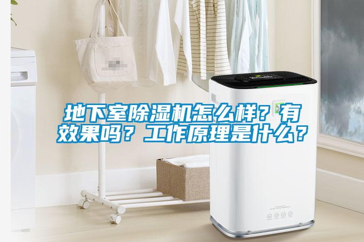 地下室除濕機怎么樣？有效果嗎？工作原理是什么？