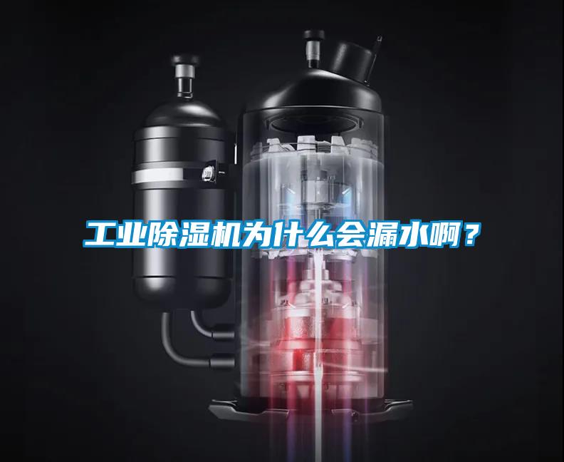 工業除濕機為什么會漏水?。?/></p>
                              <p style=