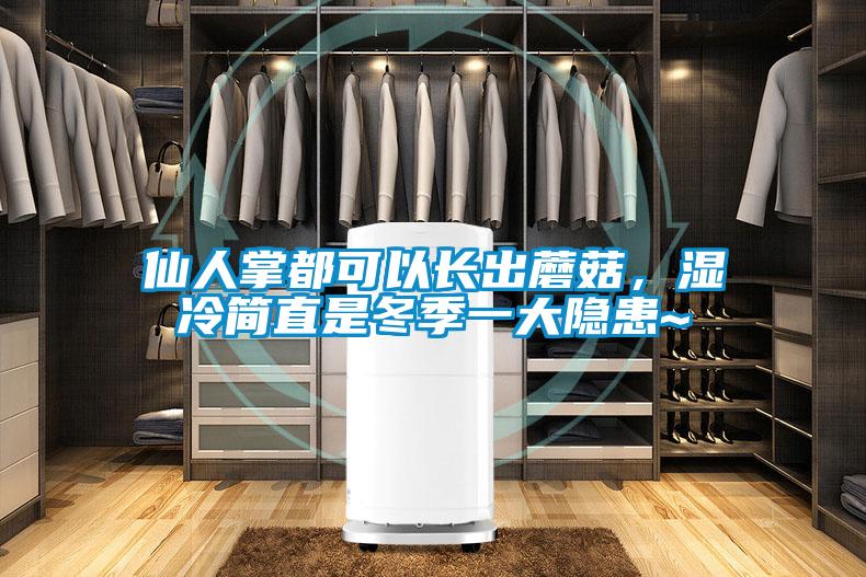仙人掌都可以長出蘑菇，濕冷簡直是冬季一大隱患~