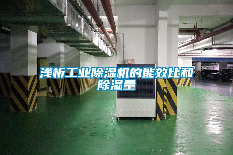 淺析工業除濕機的能效比和除濕量