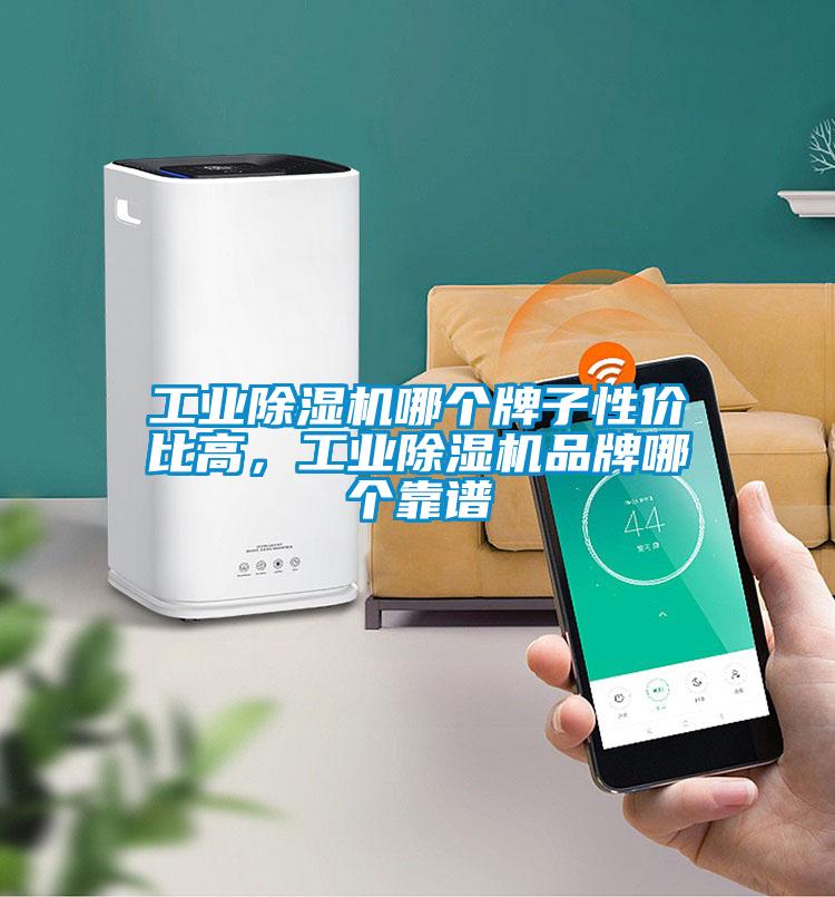 工業除濕機哪個牌子性價比高，工業除濕機品牌哪個靠譜