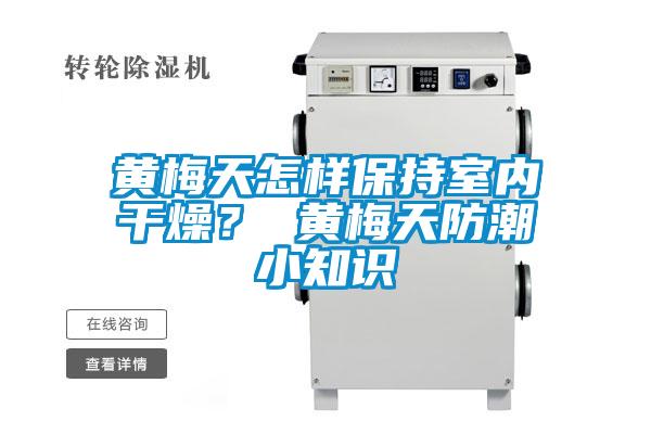 黃梅天怎樣保持室內干燥？ 黃梅天防潮小知識