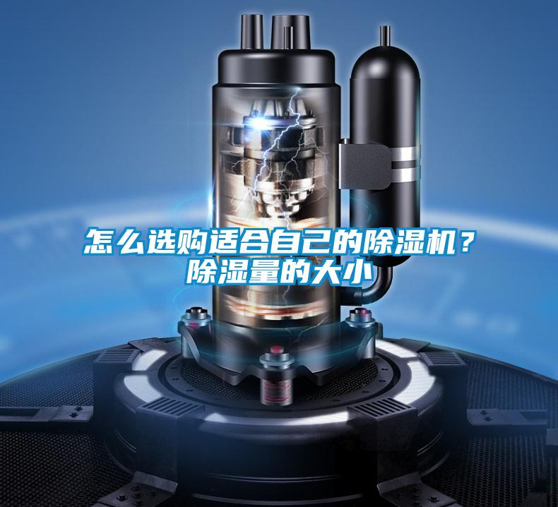 怎么選購適合自己的除濕機？除濕量的大小