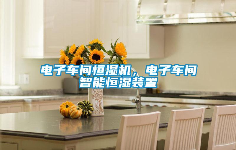 電子車間恒濕機，電子車間智能恒濕裝置
