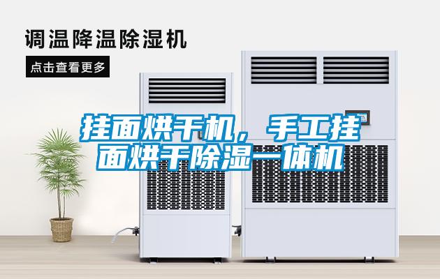 掛面烘干機，手工掛面烘干除濕一體機