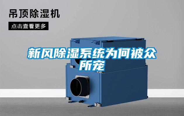 新風除濕系統為何被眾所寵