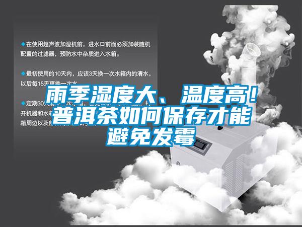 雨季濕度大、溫度高！普洱茶如何保存才能避免發霉