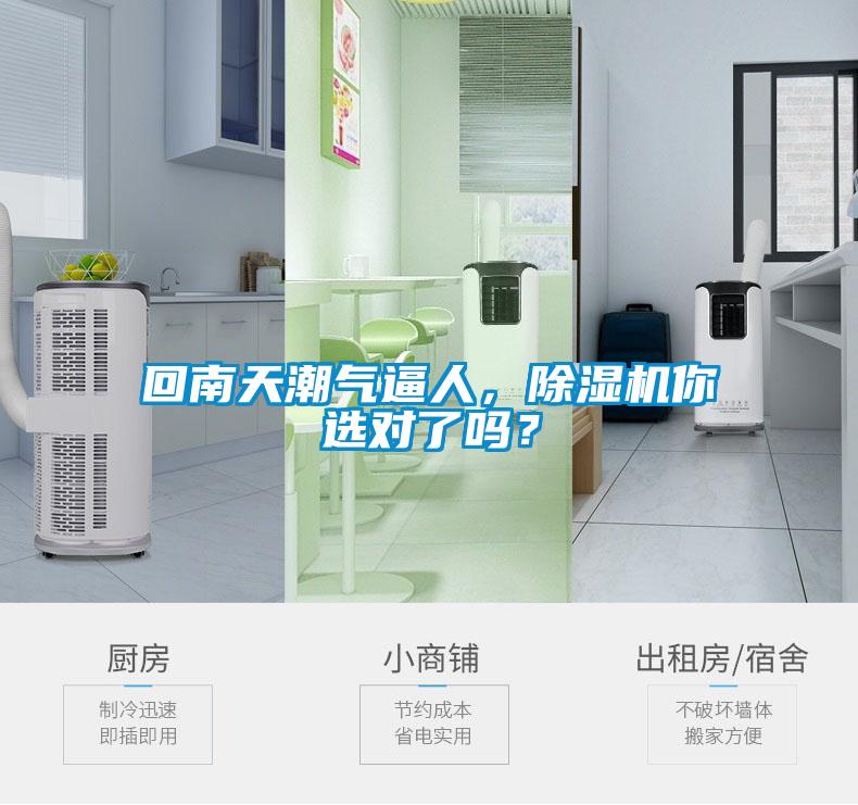 回南天潮氣逼人，除濕機你選對了嗎？