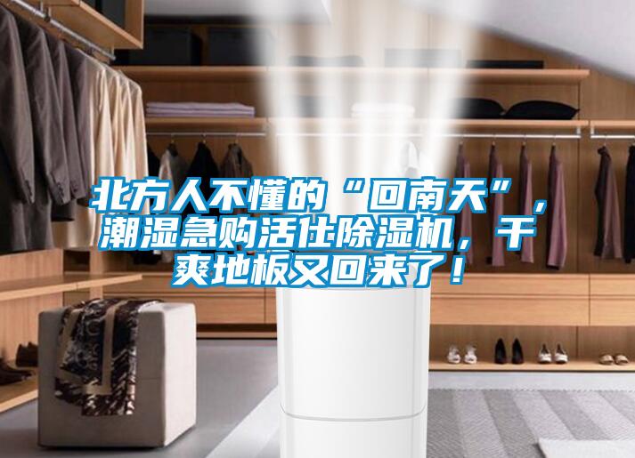 北方人不懂的“回南天”，潮濕急購活仕除濕機，干爽地板又回來了！