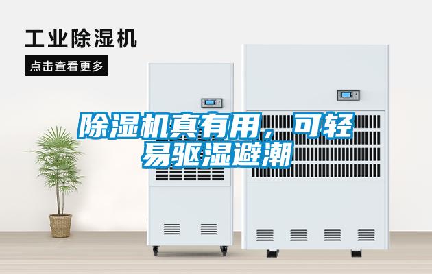 除濕機真有用，可輕易驅濕避潮