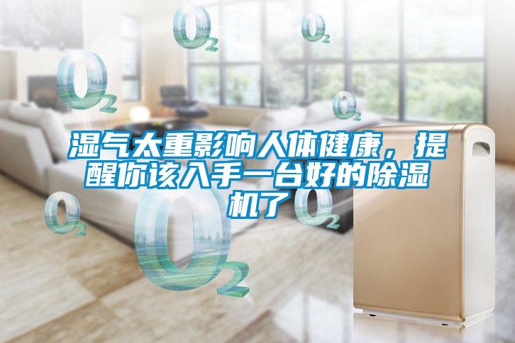 濕氣太重影響人體健康，提醒你該入手一臺好的除濕機了