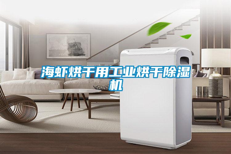 海蝦烘干用工業烘干除濕機