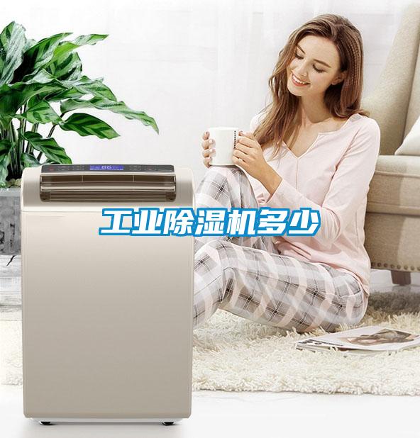 工業除濕機多少