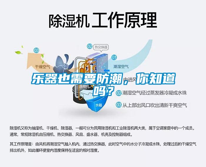 樂器也需要防潮，你知道嗎？