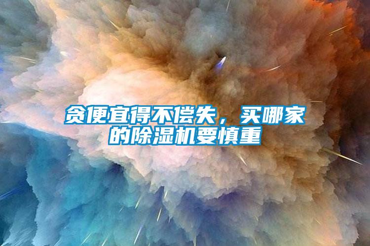 貪便宜得不償失，買哪家的除濕機要慎重