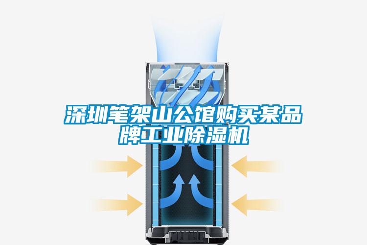 深圳筆架山公館購買某品牌工業除濕機