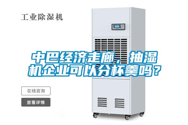 中巴經濟走廊，抽濕機企業可以分杯羹嗎？