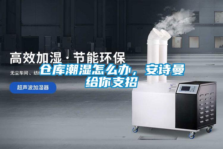 倉庫潮濕怎么辦，安詩曼給你支招