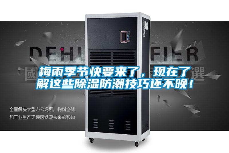梅雨季節快要來了，現在了解這些除濕防潮技巧還不晚！