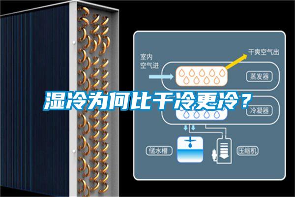 濕冷為何比干冷更冷？