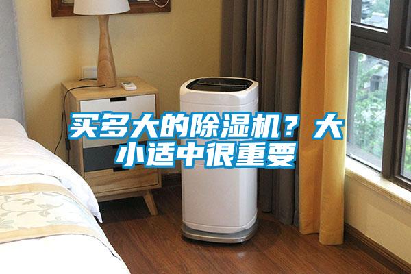 買多大的除濕機？大小適中很重要