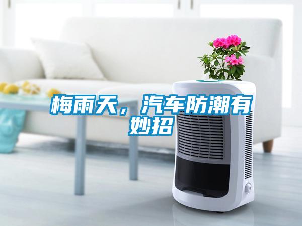 梅雨天，汽車防潮有妙招