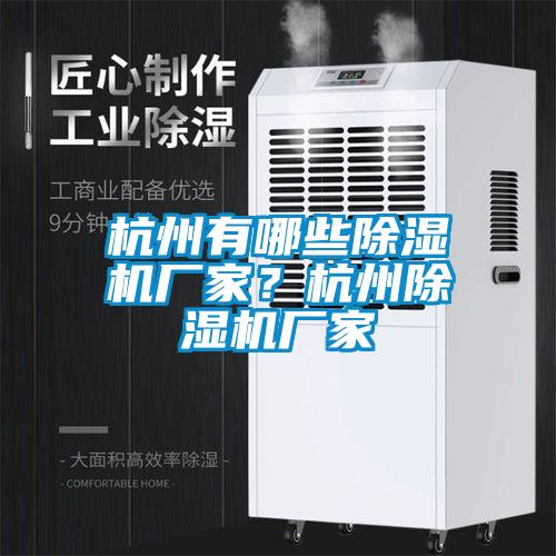 杭州有哪些除濕機廠家？杭州除濕機廠家