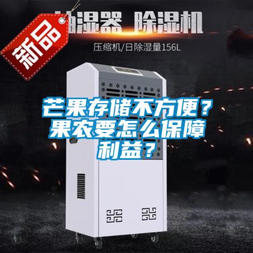 芒果存儲不方便？果農要怎么保障利益？