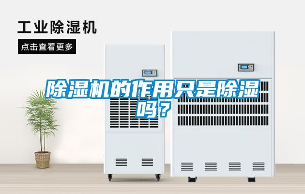 除濕機的作用只是除濕嗎？