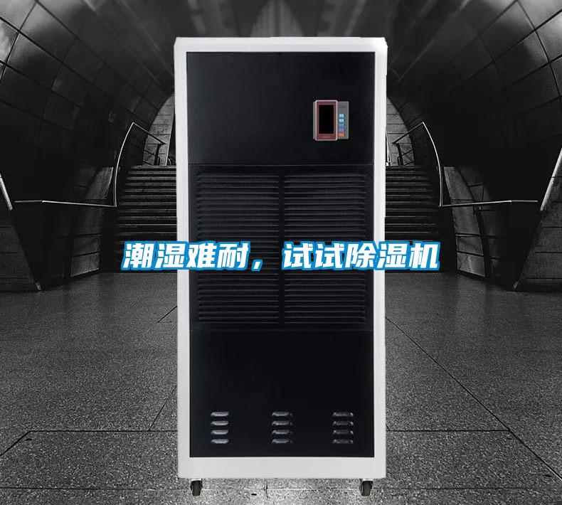 潮濕難耐，試試除濕機