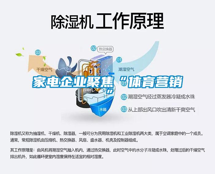 家電企業聚焦“體育營銷”