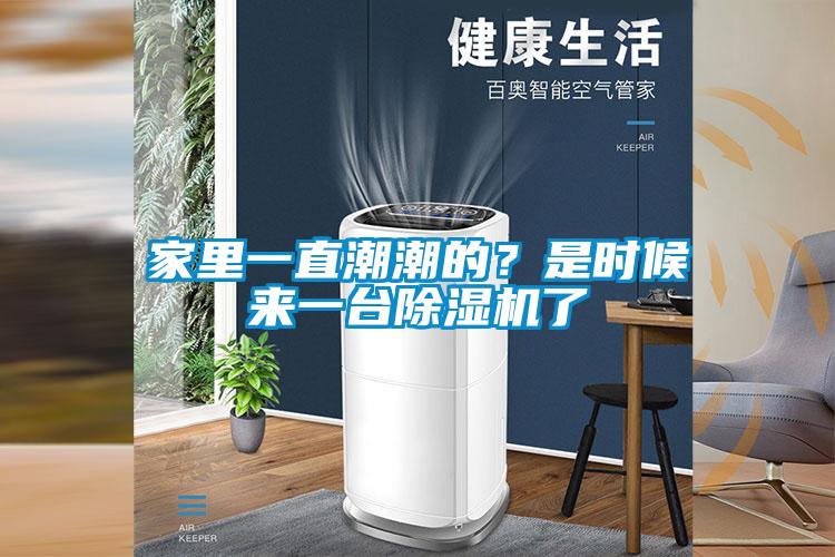 家里一直潮潮的？是時候來一臺除濕機了
