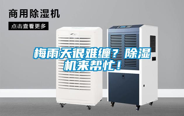 梅雨天很難纏？除濕機來幫忙！