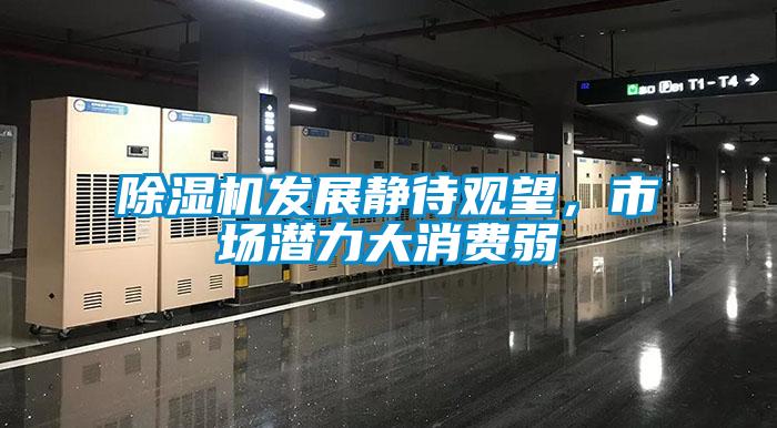 除濕機發展靜待觀望，市場潛力大消費弱
