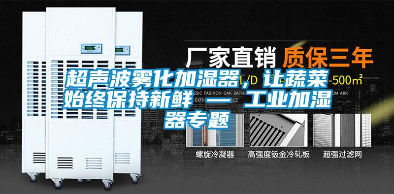 超聲波霧化加濕器，讓蔬菜始終保持新鮮 — 工業加濕器專題