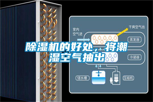 除濕機的好處，將潮濕空氣抽出