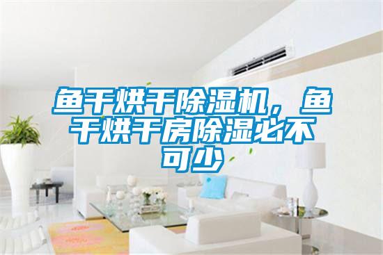 魚干烘干除濕機，魚干烘干房除濕必不可少