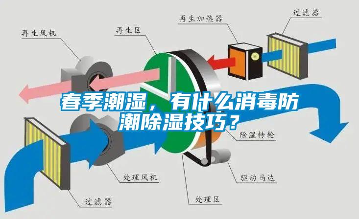 春季潮濕，有什么消毒防潮除濕技巧？