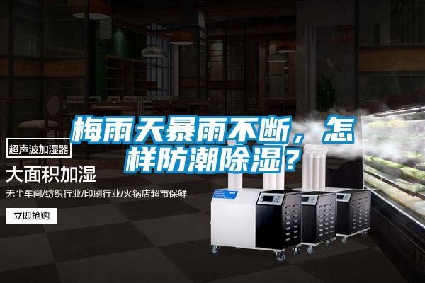 梅雨天暴雨不斷，怎樣防潮除濕？