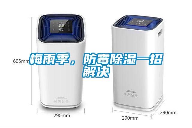 梅雨季，防霉除濕一招解決