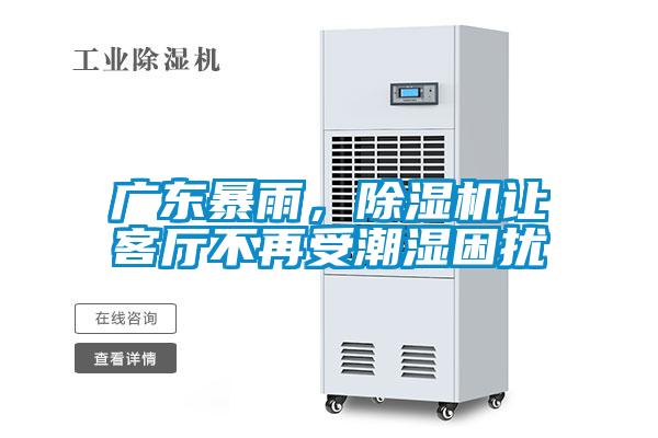廣東暴雨，除濕機讓客廳不再受潮濕困擾