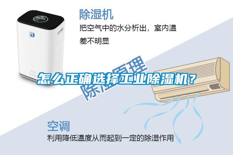 怎么正確選擇工業除濕機？