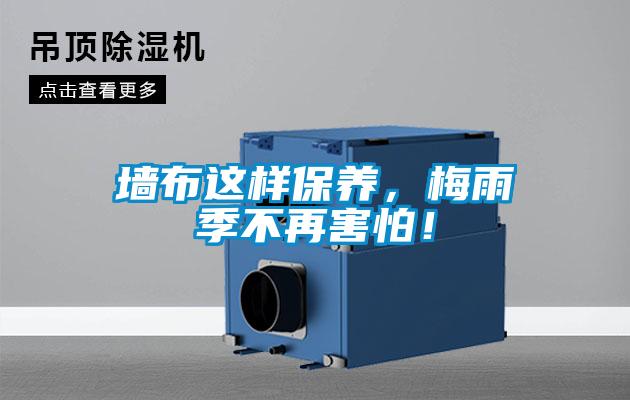 墻布這樣保養，梅雨季不再害怕！