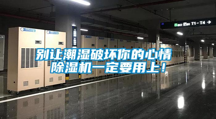 別讓潮濕破壞你的心情 除濕機一定要用上！