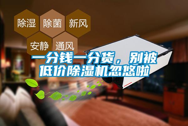 一分錢一分貨，別被低價除濕機忽悠啦